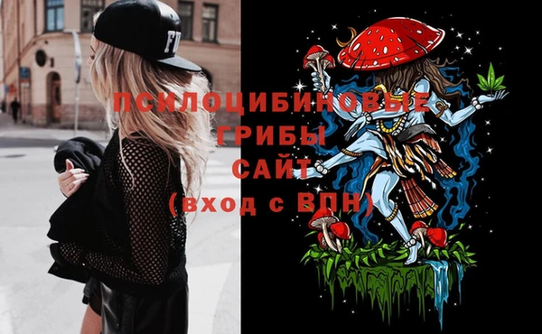 стафф Богородицк