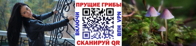 Псилоцибиновые грибы Psilocybine cubensis  Меленки 